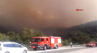 Çubuk'ta Orman Yangını