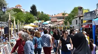 Didim Vegan Festivali Sona Erdi