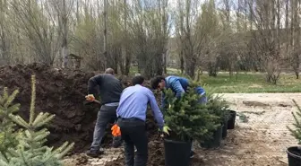 Taşlıçay Belediyesi Yeşillendirme Çalışması