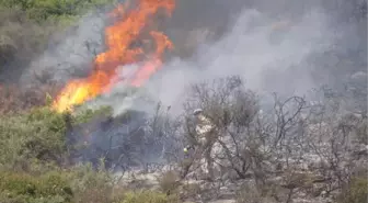 Menderes'te Makilik Bölgede Yangın