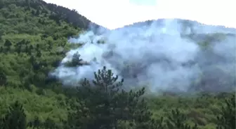 Taşova'da Örtü Yangını