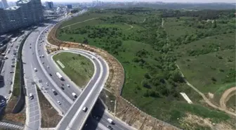 İstanbul'da Kent İçi ve Tem Yolundaki Fidanlar Büyüdü, Kuzey Marmara Otoyolu Kenarlarındakilerin...