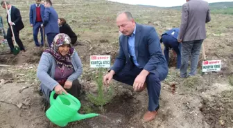 Vezirköprü Şehitlerine Hatıra Ormanı