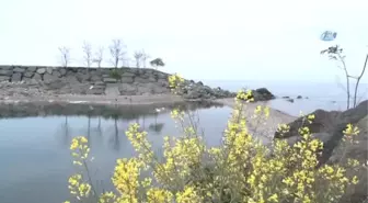 Rize'de Balıkçı Barınağı Girişi Kapandı