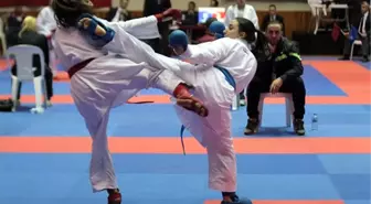 Avrupa Karate Şampiyonası
