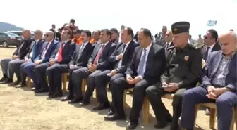 Beyşehir Gölü'ne 450 Bin Yavru Sazan Balığı Bırakıldı