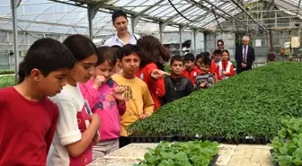 Fide Etkinliği Düzenlendi