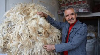 Koyun Yününe İlgi Azaldı