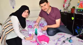 Zeynep Bebek İlacına Kavuşacak