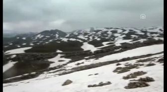 Bölücü Terör Örgütüne 'Büyük Darbe'