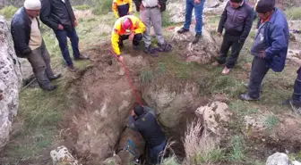 Çukura Düşen Büyükbaş Hayvanı Afad Ekipleri Çıkardı