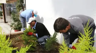 Artvin'de 8 Bin Çiçek Toprakla Buluşacak