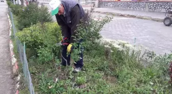 Pazarlar Belediyesinden Park ve Refüjlere Bahar Bakımı