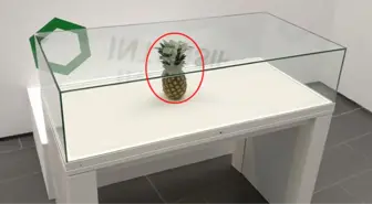 Şaka İçin Sergiye Bırakılan Ananas, Sanat Eseri Diye Cam Vitrine Alındı