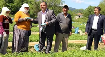 Baştuğ Çiftçi Bayramını Çiftçinin Ayağına Giderek Kutladı