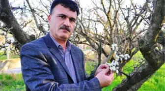 Turgutlu Ziraat Odası Başkanı Şenol Açıklaması