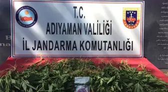 Jandarma Uyuşturucuya Geçit Vermiyor