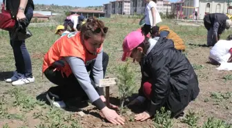 Öğrenciler 200 Fidanı Toprakla Buluşturdu