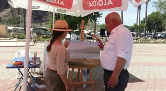 Usta Fırçalar Dalyan'ı Resmetti