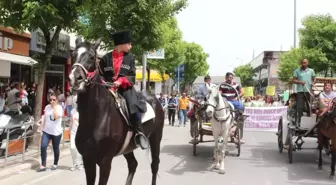 3. Düzce Otları Tyche Bereket Festivali Yürüyüşü Yapıldı