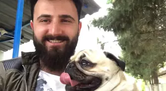 Sosyal Medya Bu Köpeği Konuştu