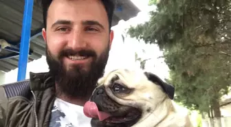 Sosyal Medya Bu Köpeği Konuştu