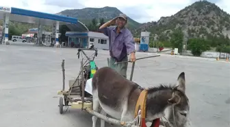 Tek Eşeği ile Çiftçilik Yapıyor