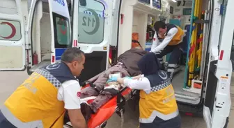 Bitki Toplarken Uçurumdan Düşüp Öldü