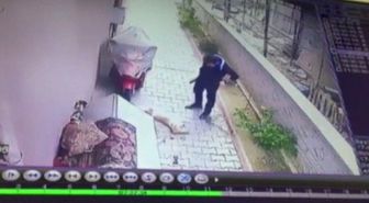 Köpeğin Çalınma Anı Saniye Saniye Kameraya Yansıdı