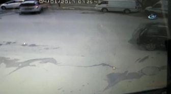 Köpeğin Çalınma Anı Saniye Saniye Kameraya Yansıdı