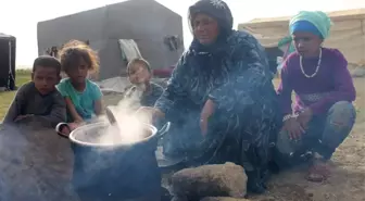 Mevsimlik Tarım İşçileri 'Bir Umuttur Yaşamak' Diyor