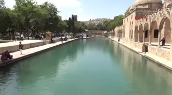 Şanlıurfa'da Meyan Şerbetine Ilgi