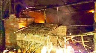 Tandırlık Yangını Korkuttu