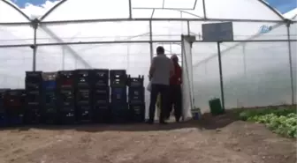 3 Çocuk Annesi 'Bu İşi Yapacağım' Dedi, Kendi İşinin Patronu Oldu