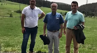 Araç Yaylalarında Turizm Çalışmaları Devam Ediyor