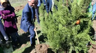 81 İlde Kyk Ormanları' Projesi