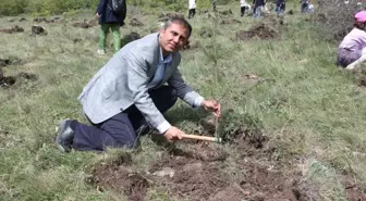 İnönü'ye Şehitlik Ormanı