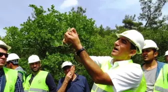 Meşe Türlerinin Tespiti ve Planlanması Eğitimi