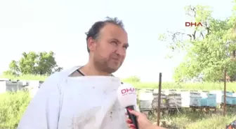 Siirt'te Dağı Bağ Yapan Öğretmen