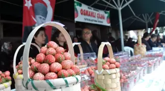 En Güzel Osmanlı Çileği'ne Ödül Verildi