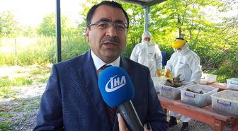 Ormanlarda Biyolojik Mücadele Devam Ediyor