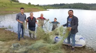 Ağlara Takılan Canlıları Ekipler Kurtardı