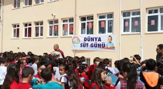 Erzincan'da Dünya Süt Günü Kutlandı