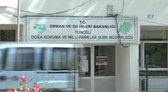 Kanadına Kurşun İsabet Eden Vaşak Tedavisinin Ardından Doğaya Salındı