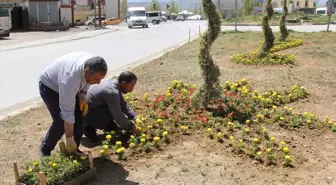 Van'dan Kısa Kısa