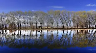 Fotoğraf Yarışması Sonuçlandı