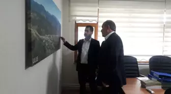 Araplar Rotayı Karabük ve Bartın'a Çevirdi