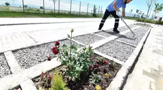 Büyükşehir Sokak Hayvanlarının Hatırasını Yaşatıyor