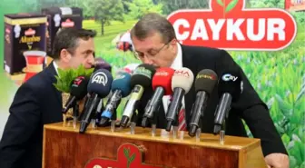 Sütlüoğlu: Yaş Çay Taban Fiyatı Cuma Günü Açıklanacak