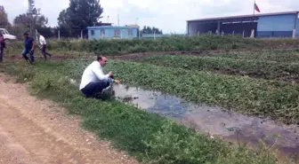 Afete Yenik Düşen Çiftçinin Sorunu Meclis'te